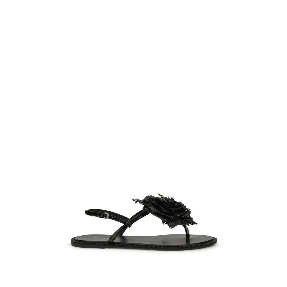 10155016 - Zeiniez