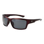 Champion Brown Stainless Steel Sunglasses