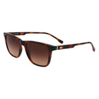 Lacoste Brown Injected Sunglasses