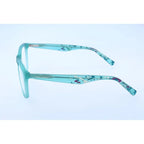 Hugo Boss Brown Injected Glasses (Frames)