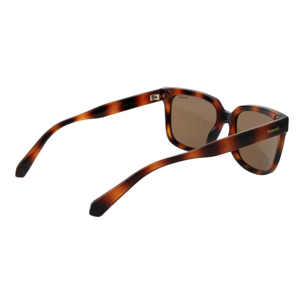 Polaroid Brown Polycarbonate Sunglasses