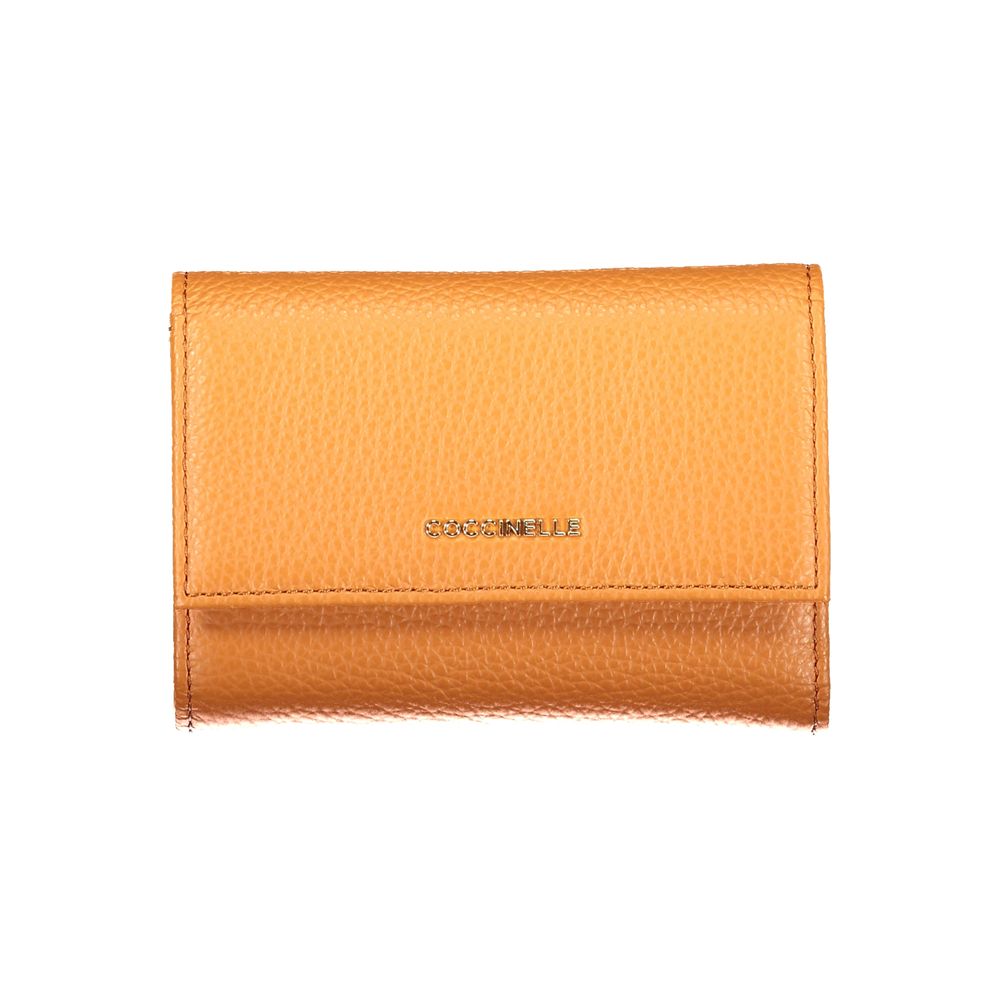 10483354 - Zeiniez