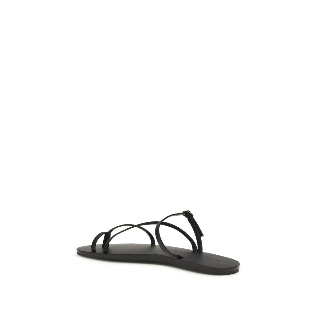 10594221 - Zeiniez