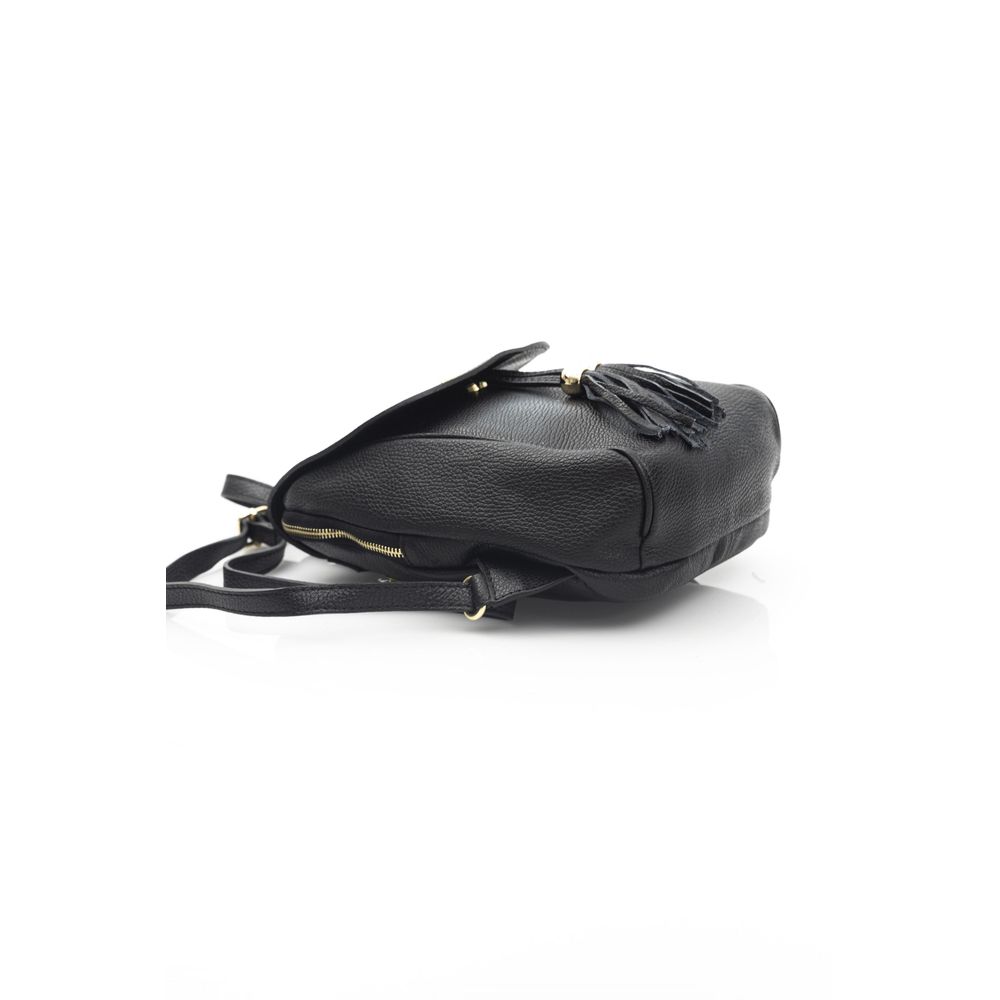 Baldinini Trend Black Cowhide Crossbody Bag