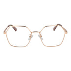 Polaroid Rose Gold Metal Glasses (Frames)