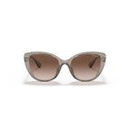 Armani Exchange Brown Injected Sunglasses