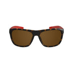 Lacoste Brown Injected Sunglasses