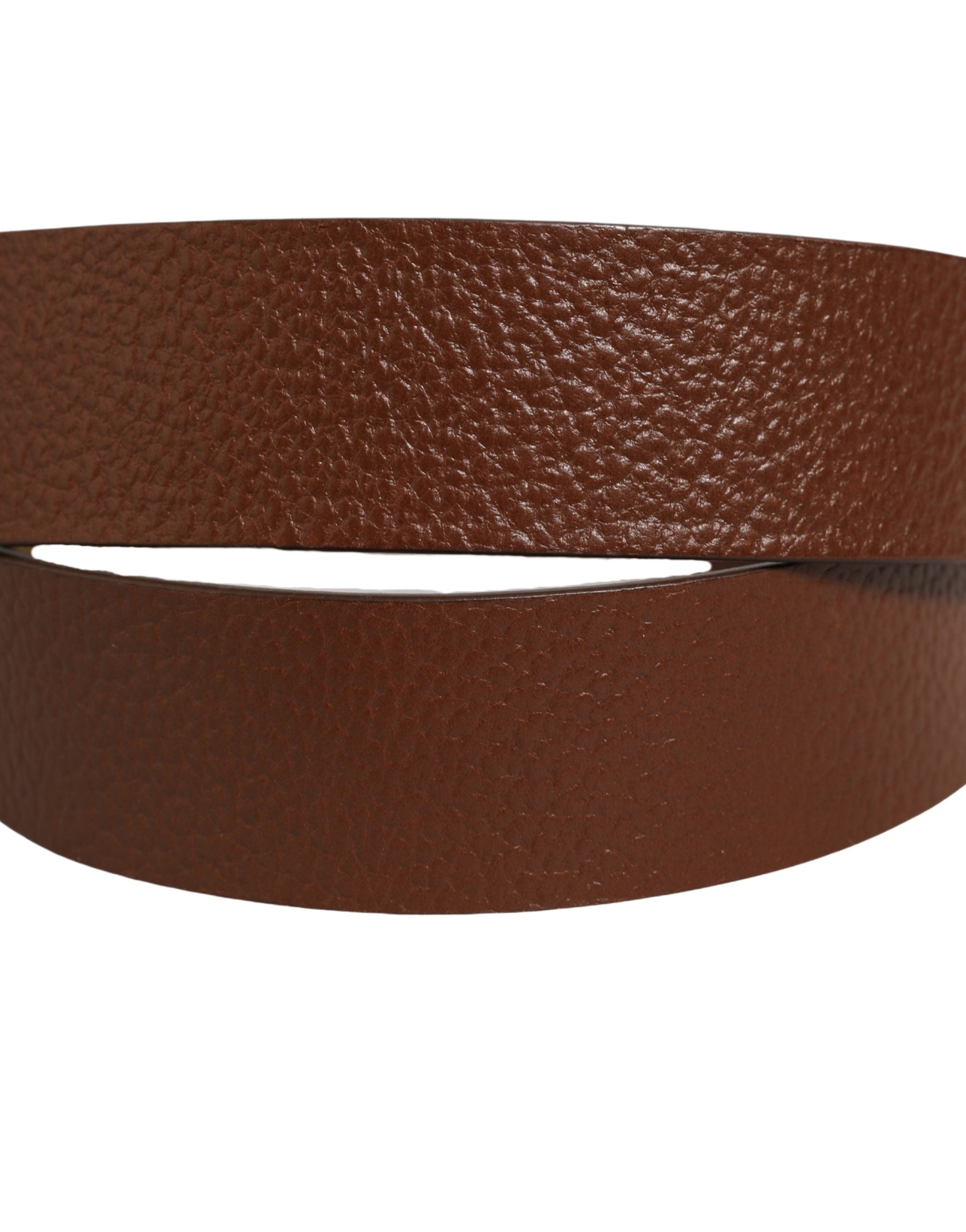 Dolce & Gabbana Brown Leather Bee Accent Metal Buckle Belt