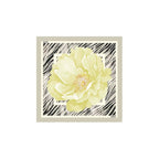 Liu Jo Gray Polyester Foulard