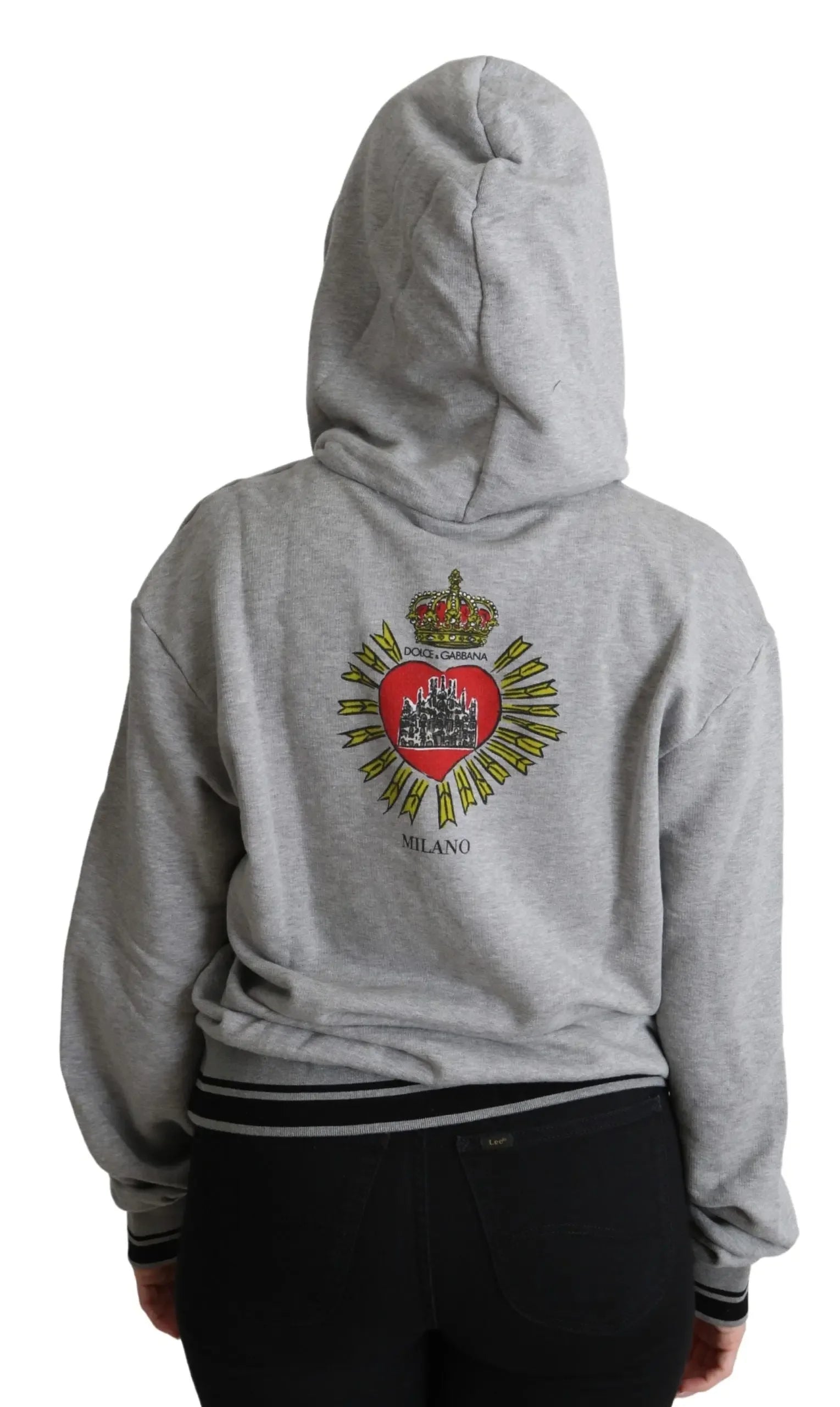 Dolce & Gabbana Gray Printed Hooded Exclusive Logo Sweater - Zeiniez