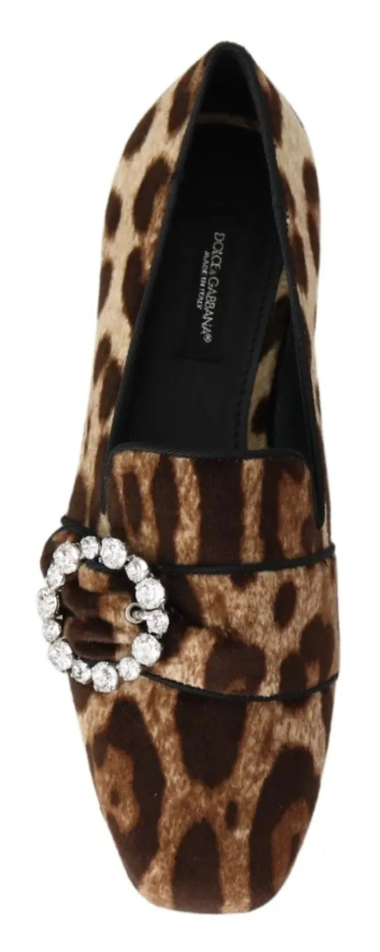 Dolce & Gabbana Brown Leopard Print Crystals Loafers Flats Shoes - Zeiniez