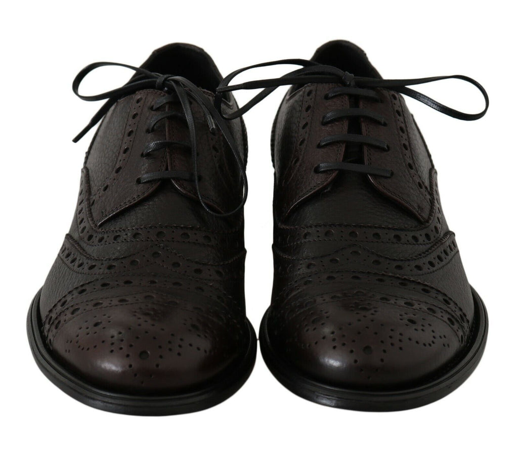 Dolce & Gabbana Brown Leather Wingtip Derby Formal Shoes - Zeiniez