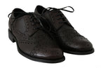 Dolce & Gabbana Brown Leather Wingtip Derby Formal Shoes - Zeiniez