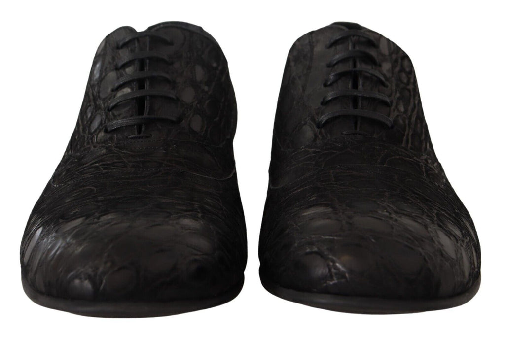 Dolce & Gabbana Black Caiman Leather Mens Oxford Shoes - Zeiniez