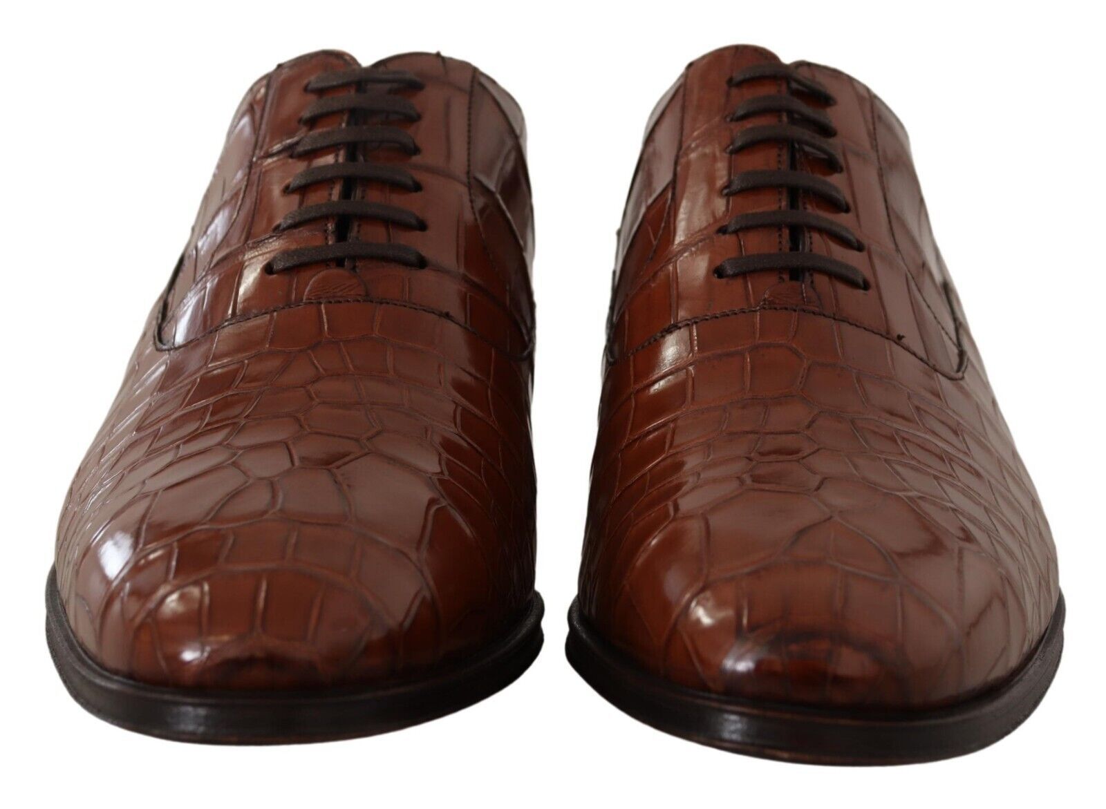Dolce & Gabbana Brown Crocodile Leather Mens Formal Derby Shoes - Zeiniez