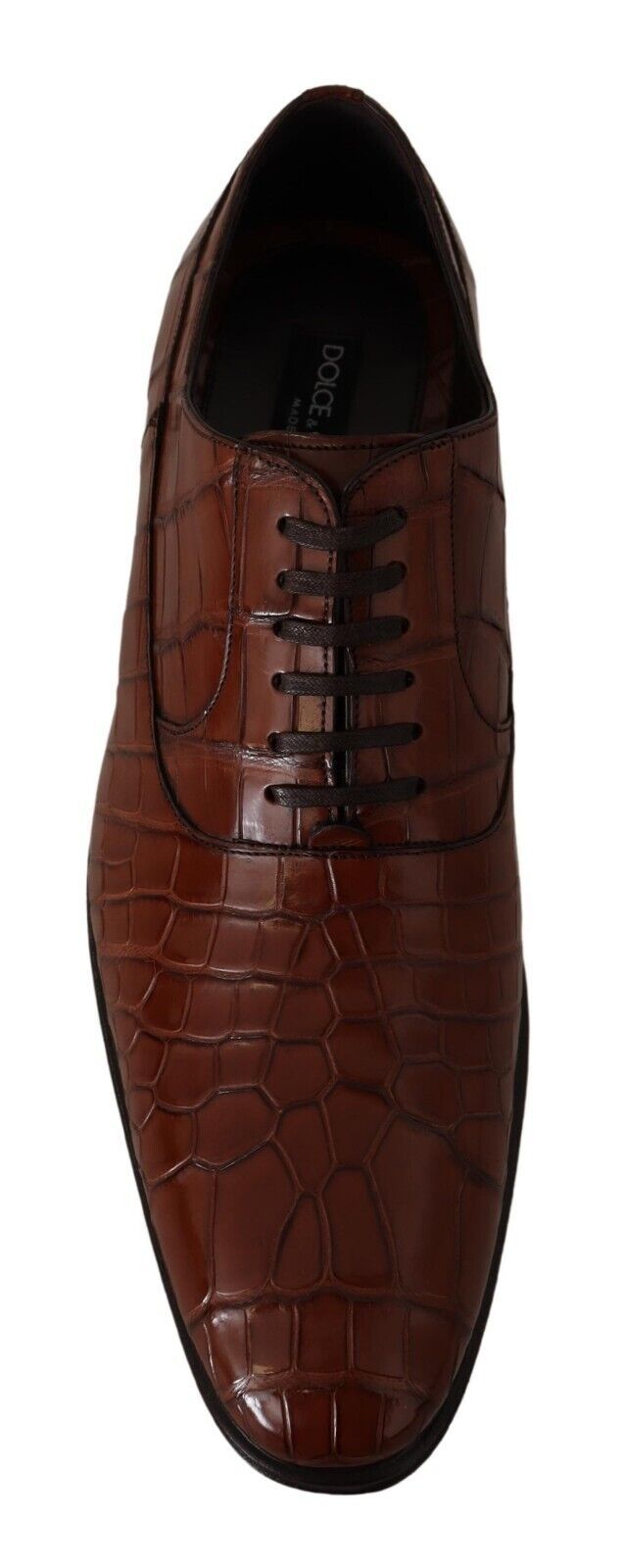 Dolce & Gabbana Brown Crocodile Leather Mens Formal Derby Shoes - Zeiniez