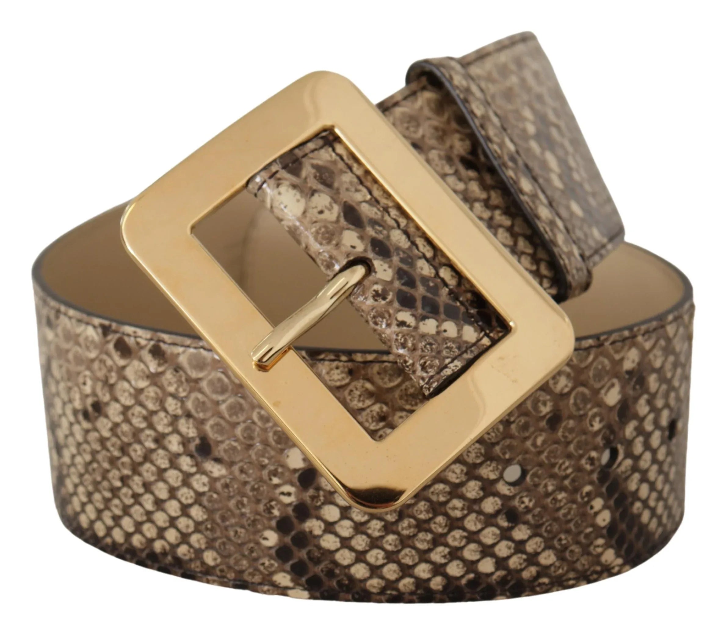 Dolce & Gabbana Brown Exotic Wide Waist Leather Gold Metal Buckle Belt - Zeiniez