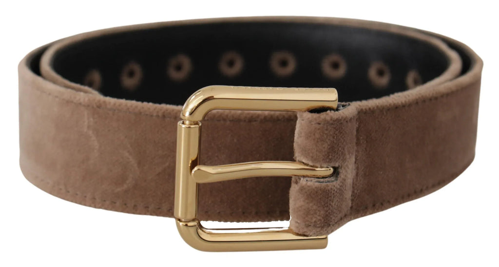 Dolce & Gabbana Light Brown Velvet Gold Tone Logo Metal Buckle Belt - Zeiniez