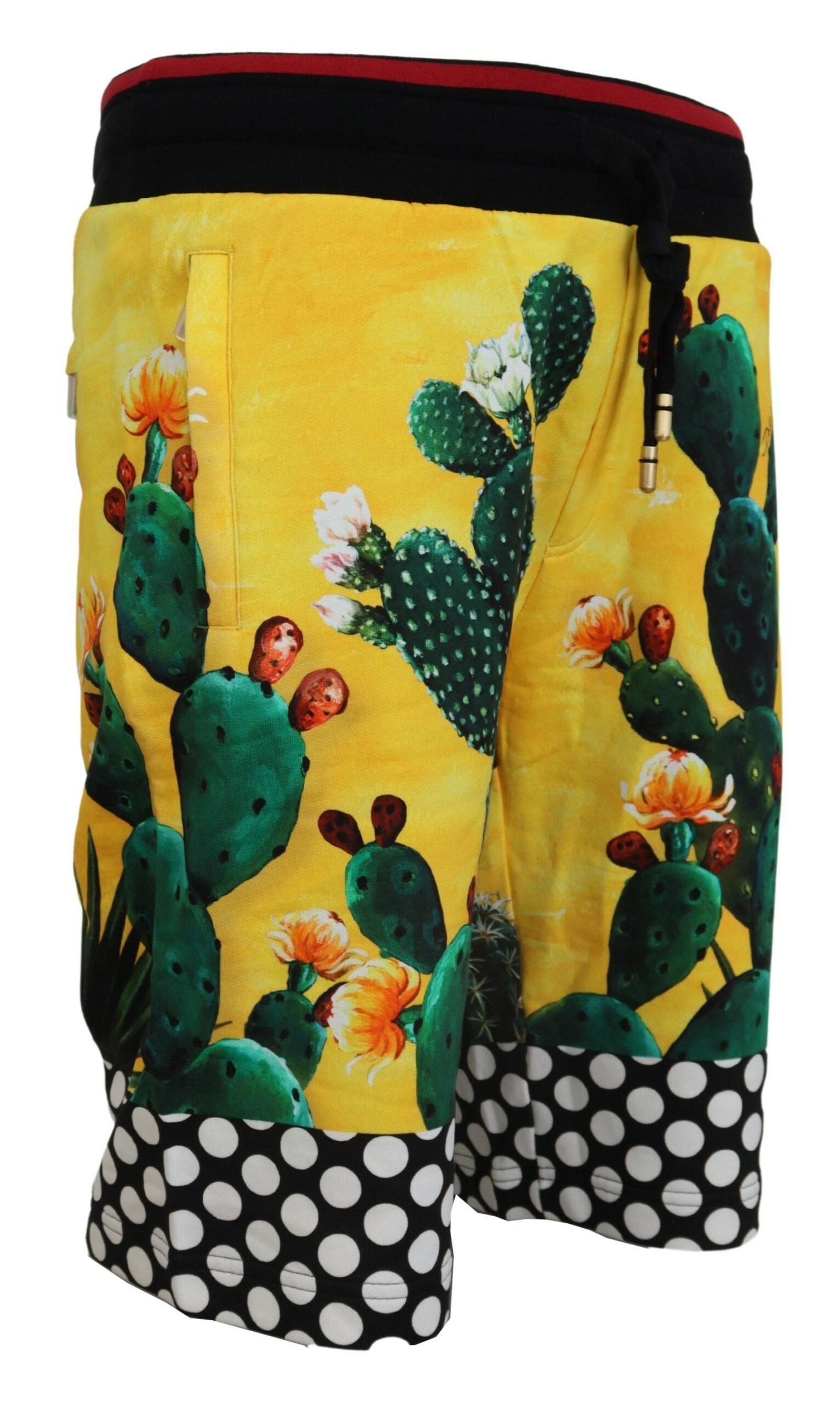 Dolce & Gabbana Multicolor Cactus Print Cotton Sweat Shorts - Zeiniez