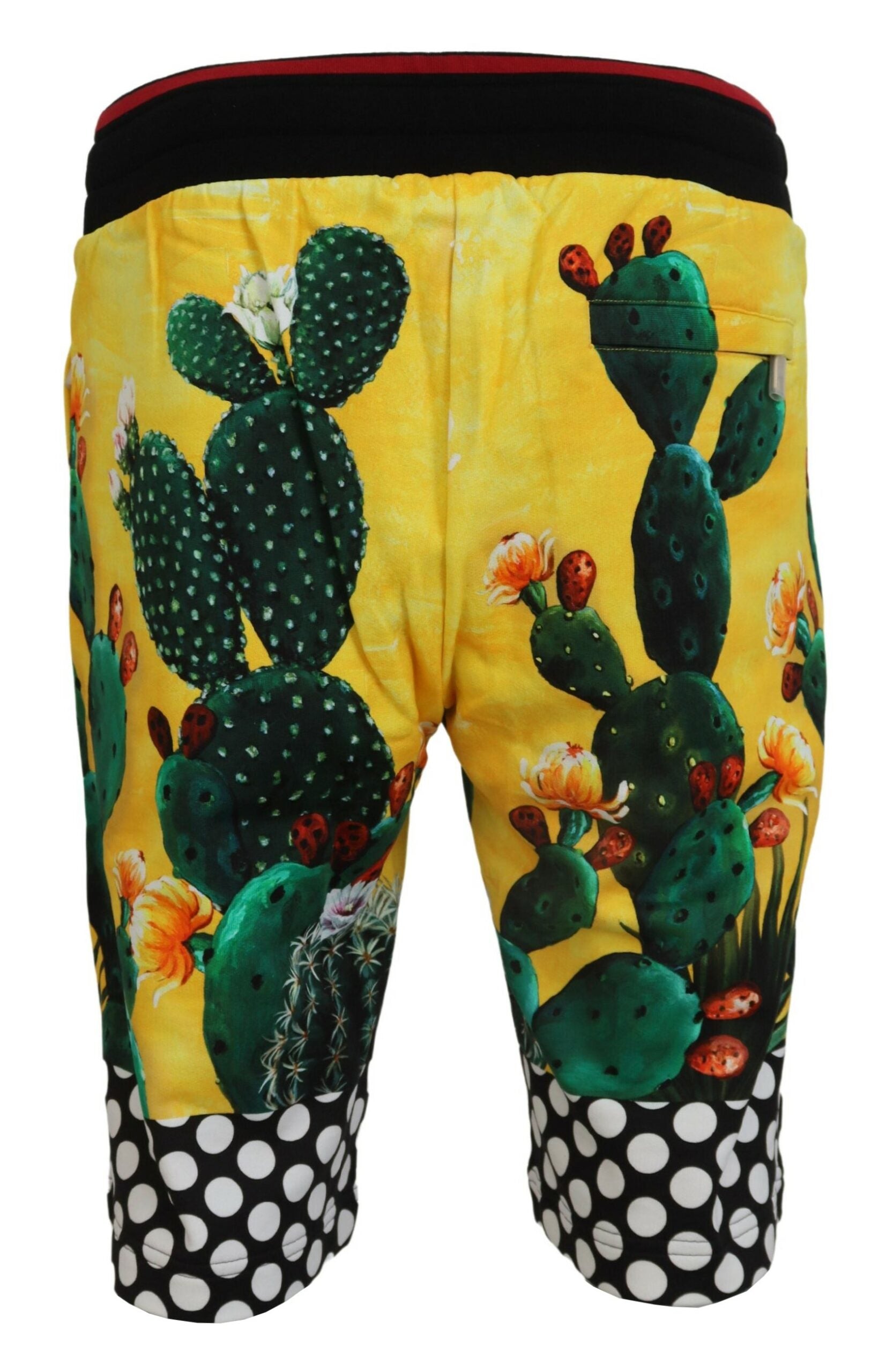 Dolce & Gabbana Multicolor Cactus Print Cotton Sweat Shorts - Zeiniez