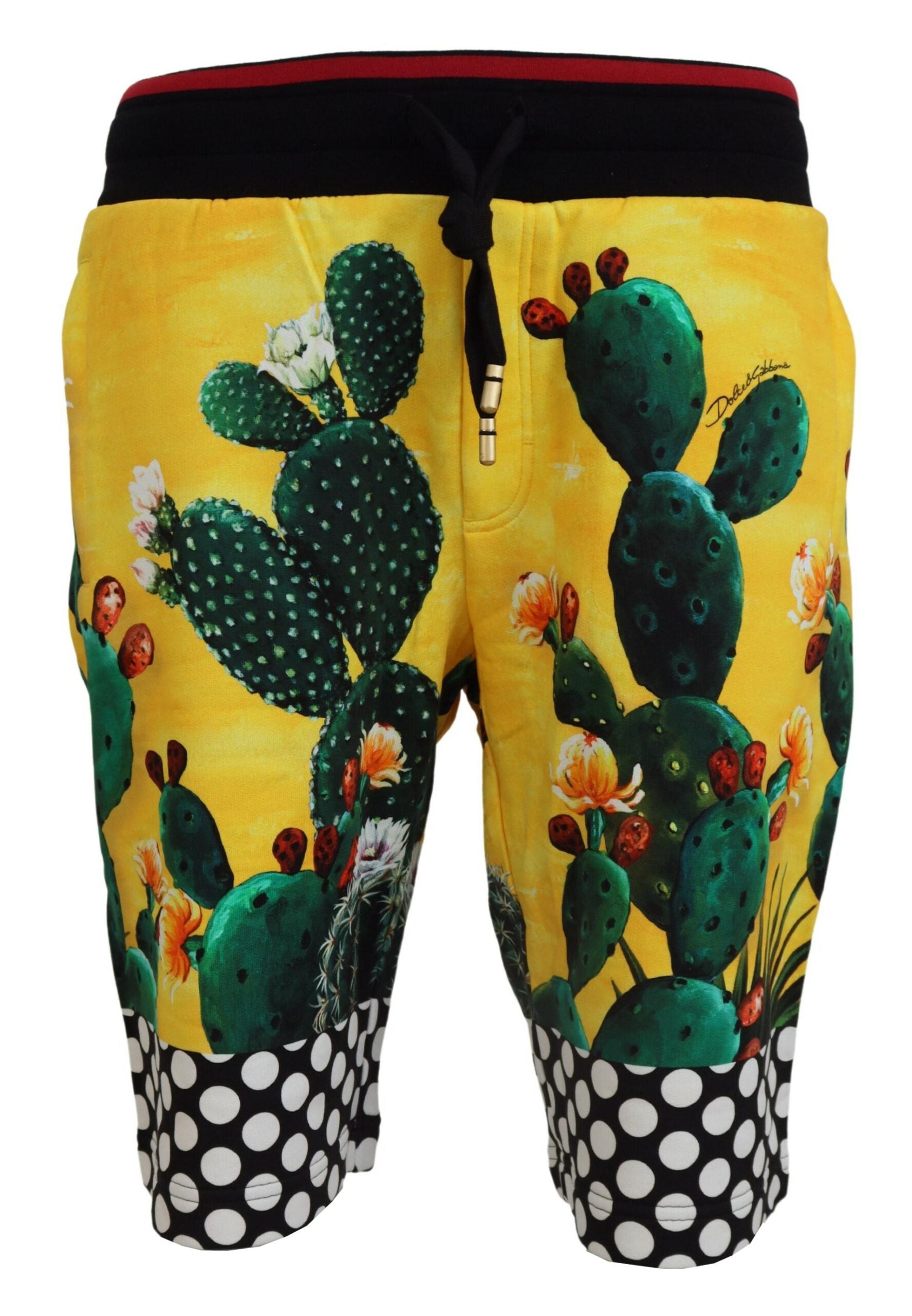 Dolce & Gabbana Multicolor Cactus Print Cotton Sweat Shorts - Zeiniez