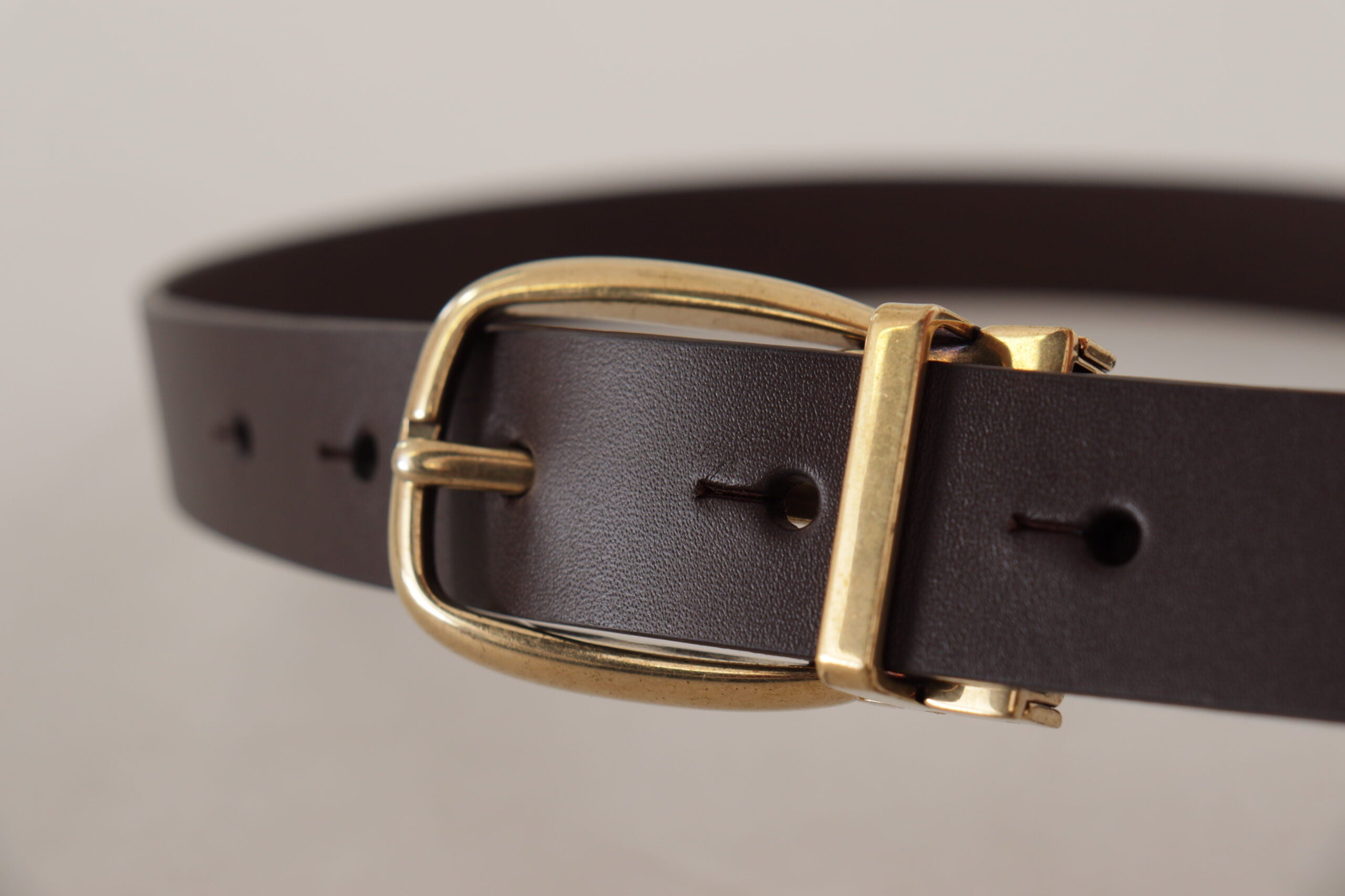 Dolce & Gabbana Dark Brown Calf Leather Gold Tone Metal Buckle - Zeiniez