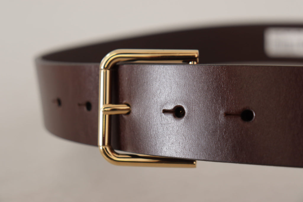 Dolce & Gabbana Brown Plain Calf Leather Gold Tone Buckle Belt - Zeiniez