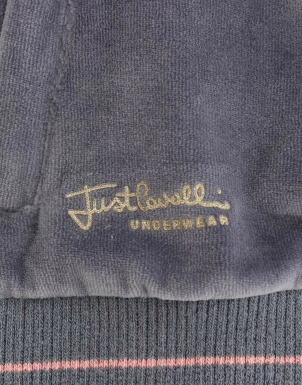 Cavalli Blue velvet zipup sweater - Zeiniez