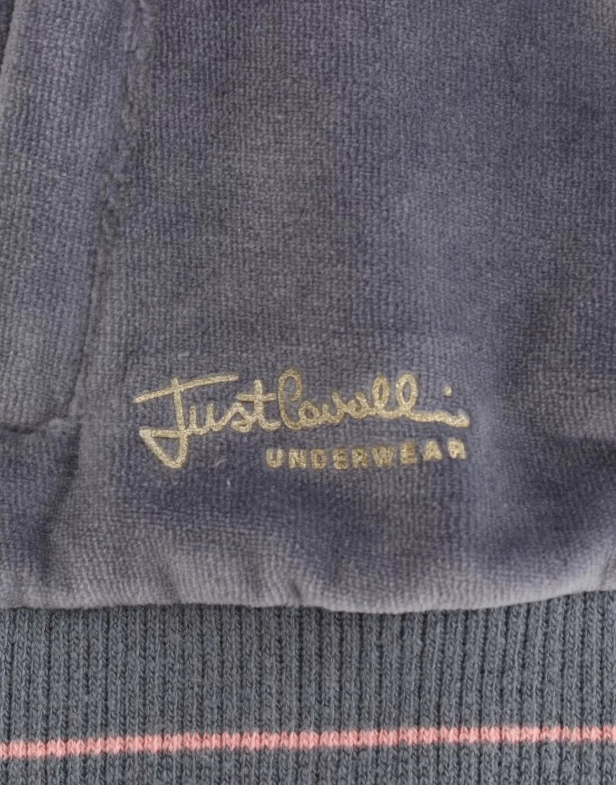 Cavalli Blue velvet zipup sweater - Zeiniez