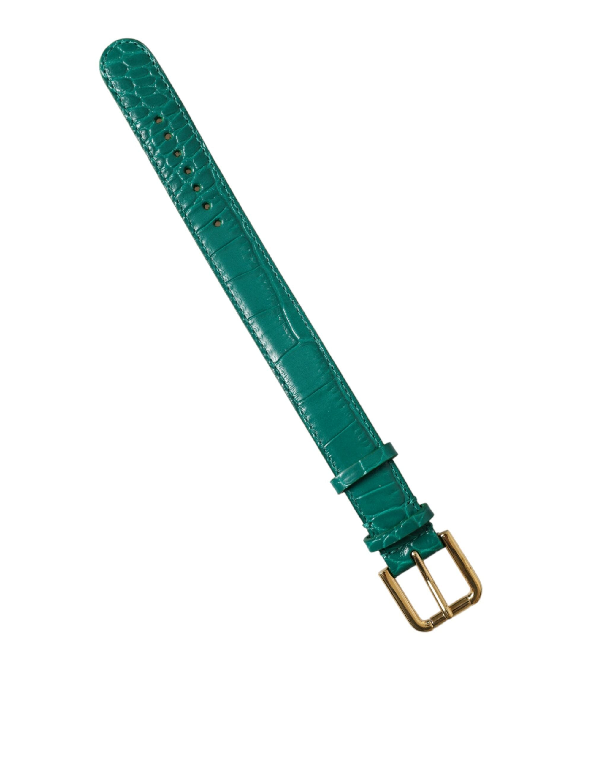 Dolce & Gabbana Green Textured Leather Gold Tone Metal Buckle Neckband - Zeiniez