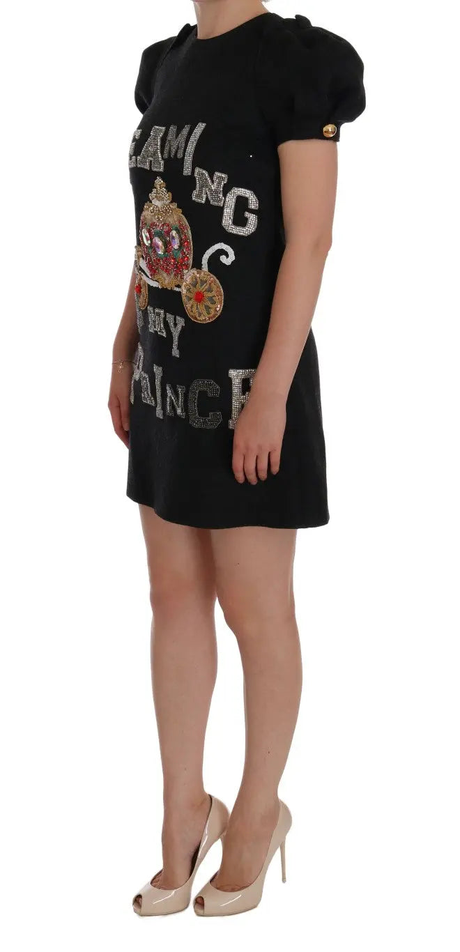 Dolce & Gabbana Gray Crystal "Dreaming of My Prince" Dress - Zeiniez