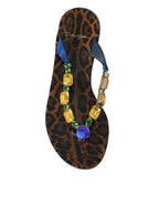 Dolce & Gabbana Blue Crystal Calf Leather Beachwear Shoes - Zeiniez