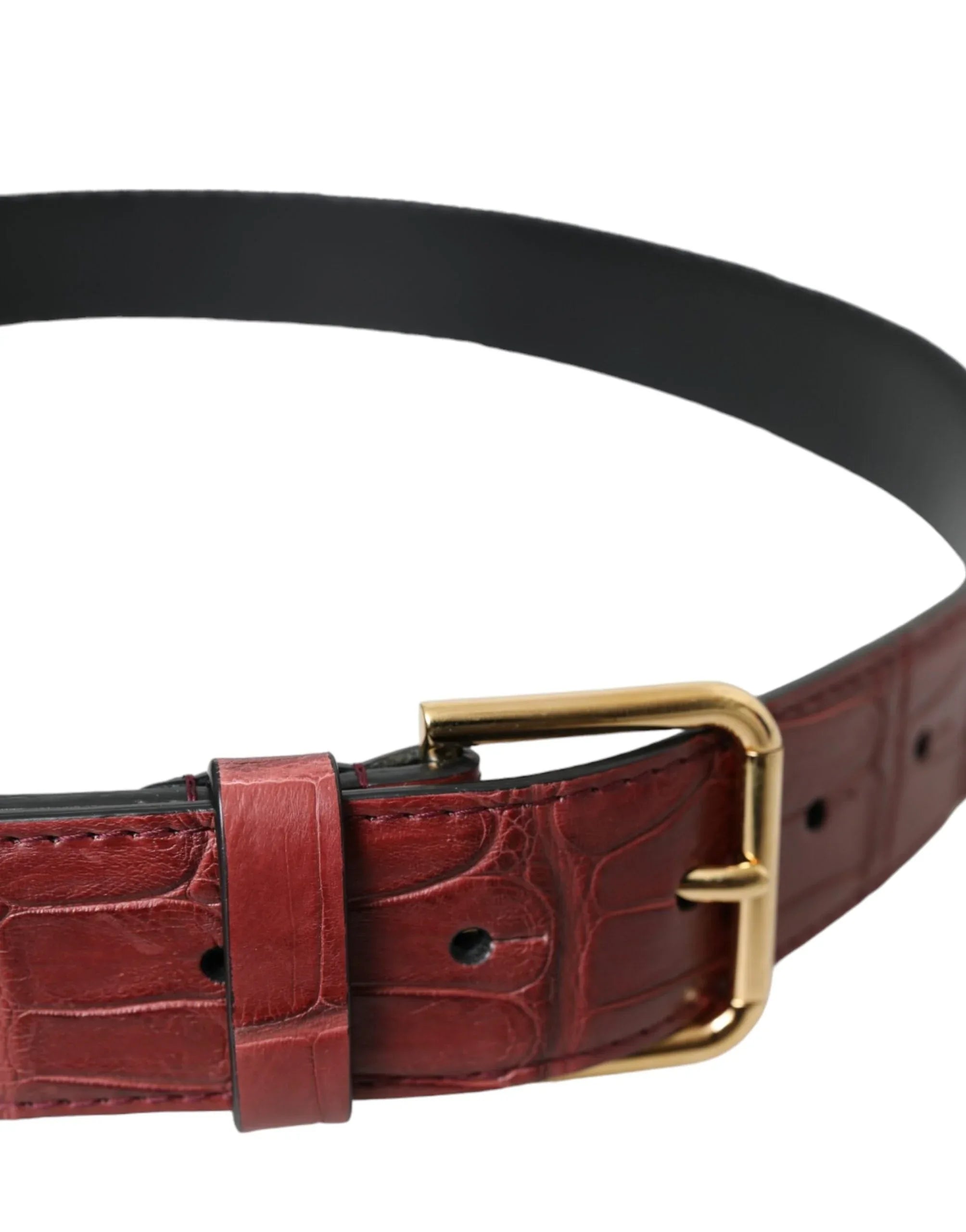 Dolce & Gabbana Brown Alligator Leather Studded Metal Buckle Belt - Zeiniez