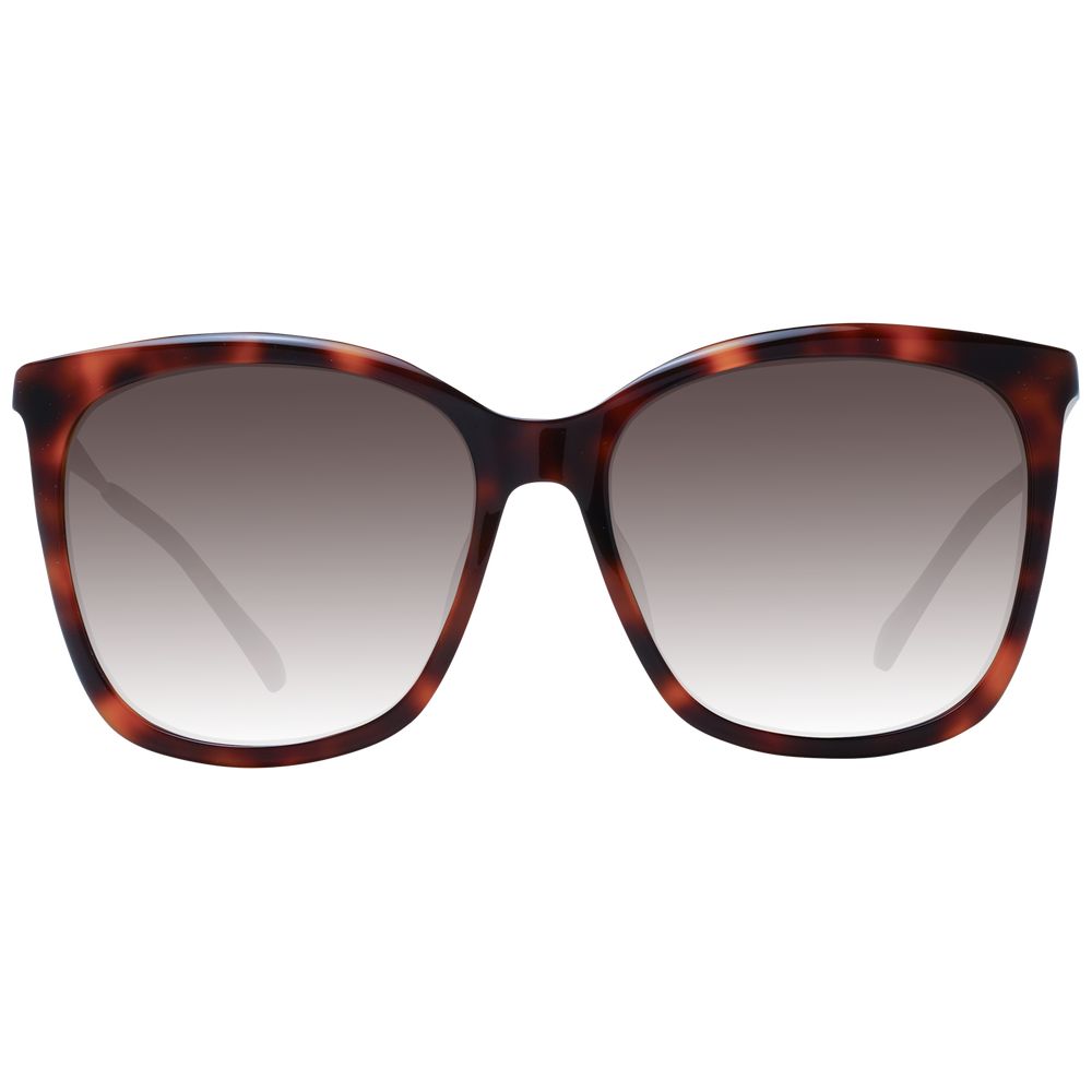 Jimmy Choo Brown Women Sunglasses - Zeiniez