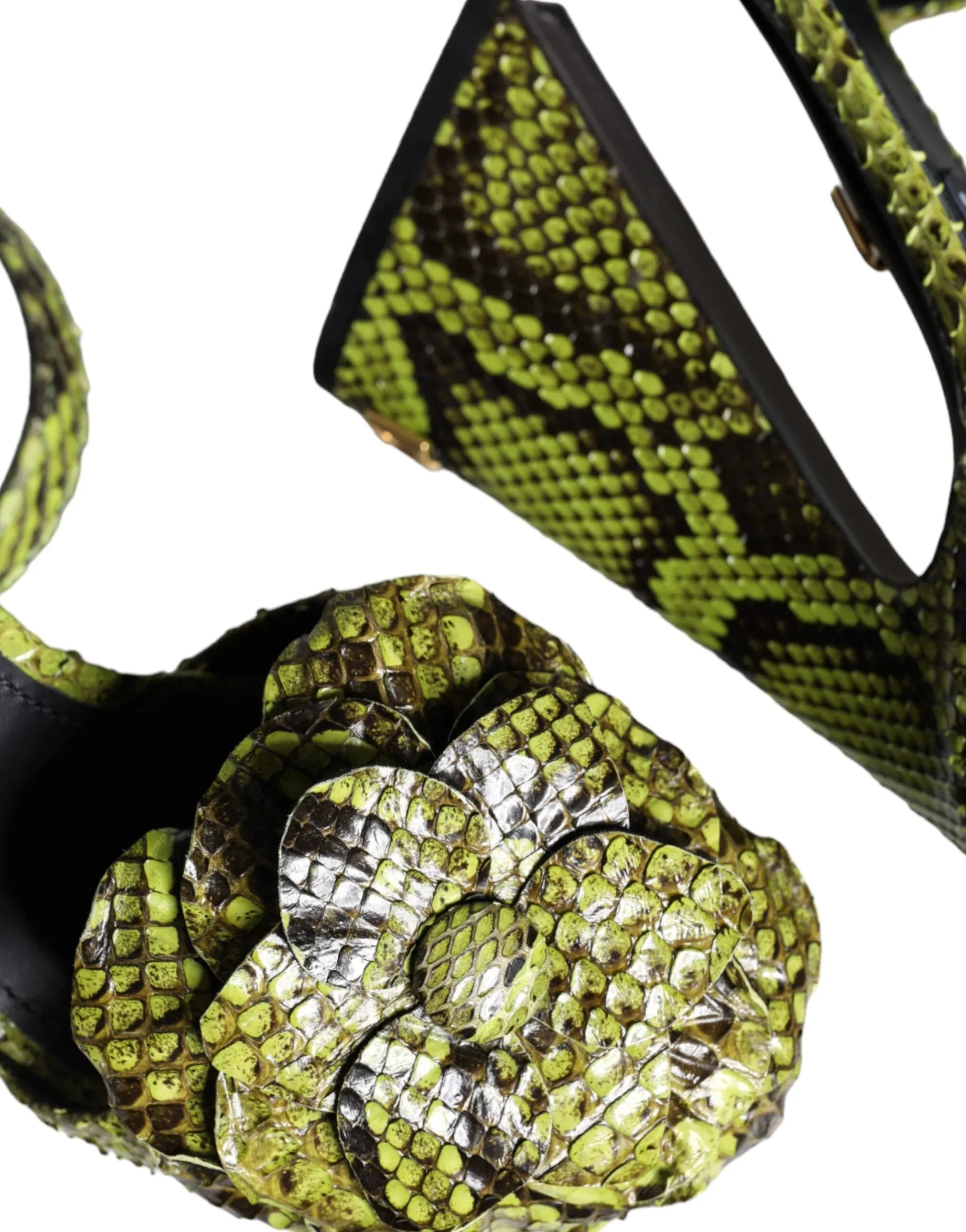 Dolce & Gabbana Green Exotic Leather Ankle Strap Heels Sandals Shoes - Zeiniez