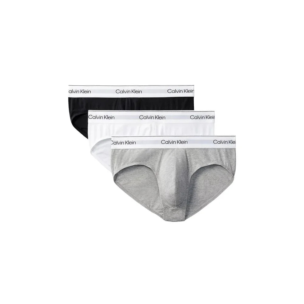 Calvin Klein Underwear Gray Cotton Briefs - Zeiniez