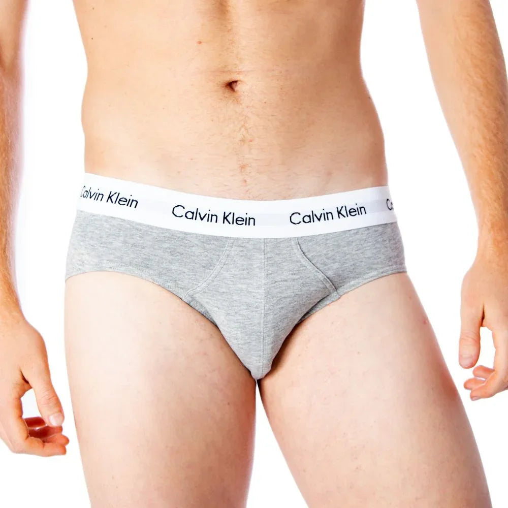Calvin Klein Underwear Gray Cotton Briefs - Zeiniez