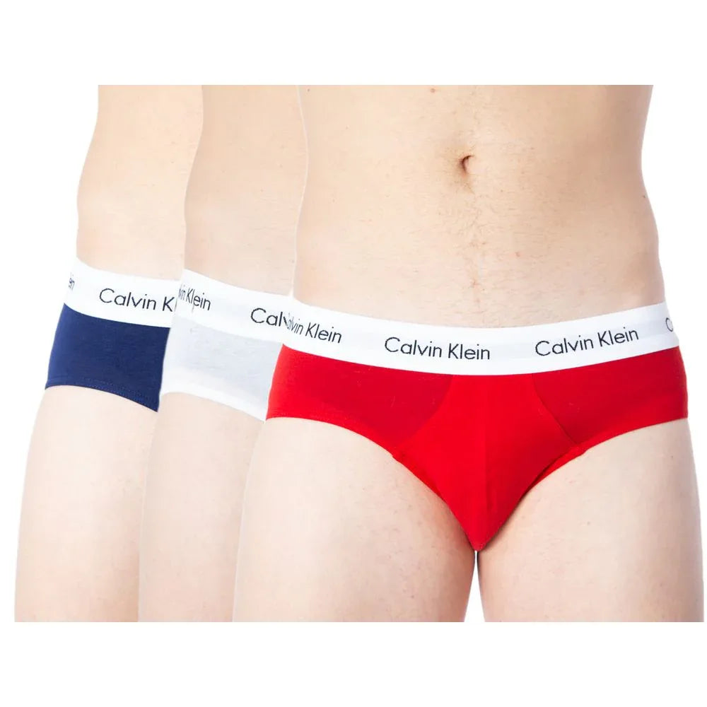 Calvin Klein Underwear Multicolor Cotton Briefs - Zeiniez