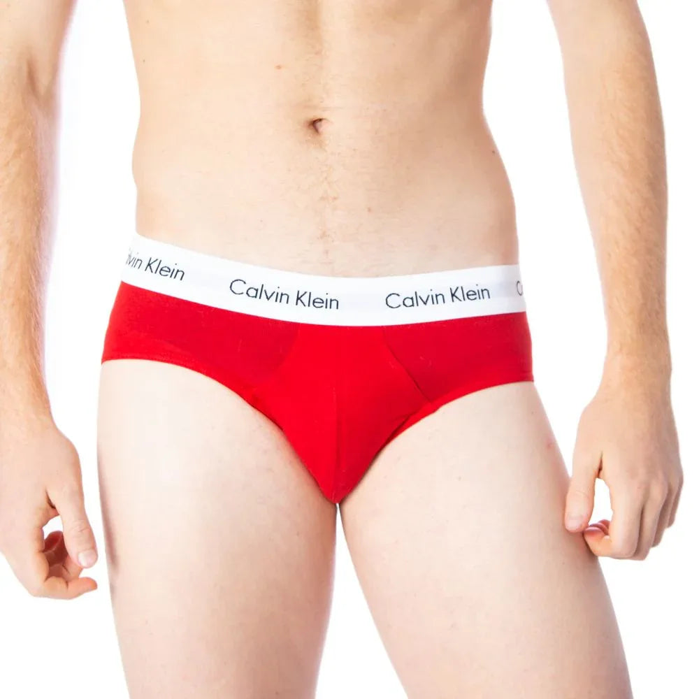 Calvin Klein Underwear Multicolor Cotton Briefs - Zeiniez