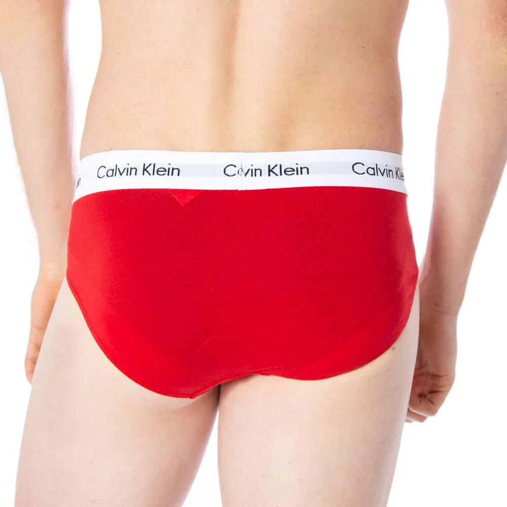 Calvin Klein Underwear Multicolor Cotton Briefs - Zeiniez