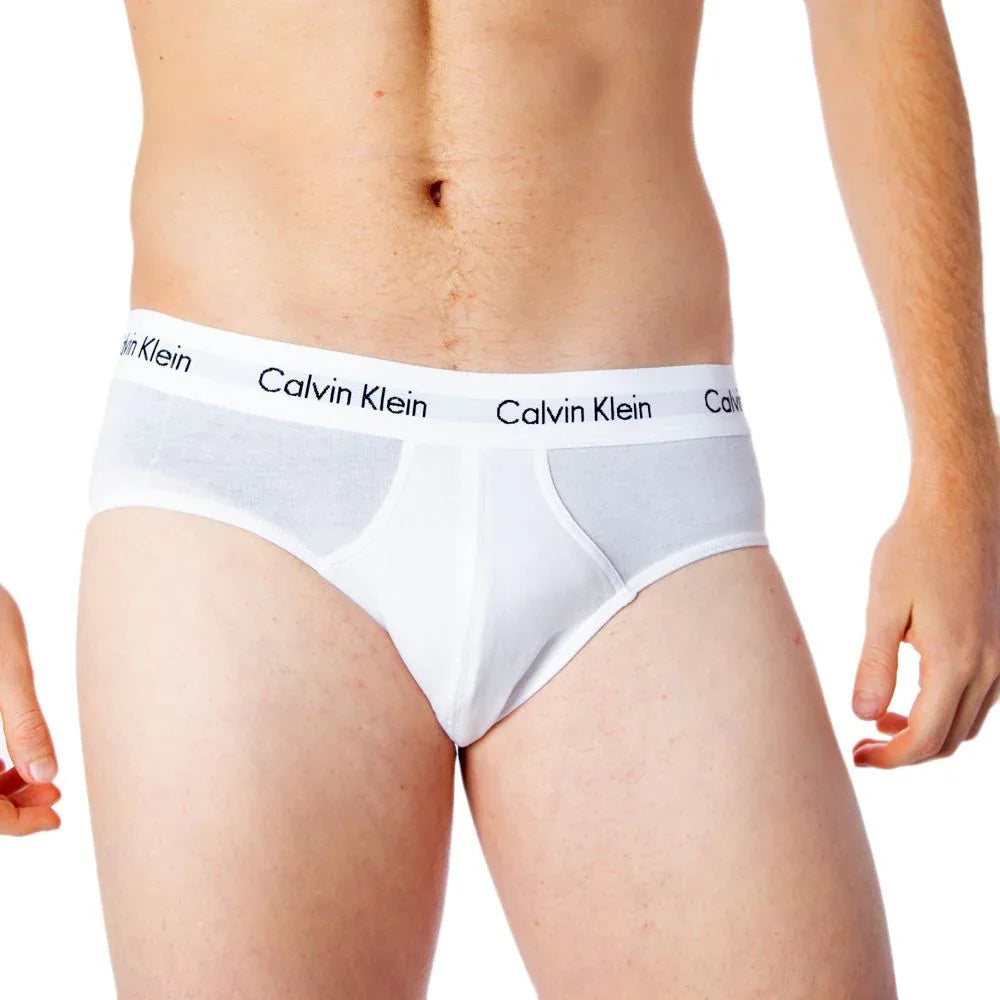 Calvin Klein Underwear Multicolor Cotton Briefs - Zeiniez