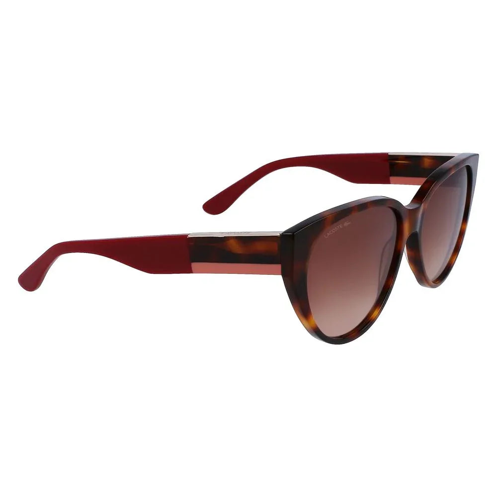 Lacoste Brown Acetate Sunglasses - Zeiniez