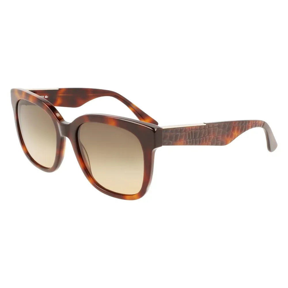 Lacoste Brown Acetate Sunglasses - Zeiniez