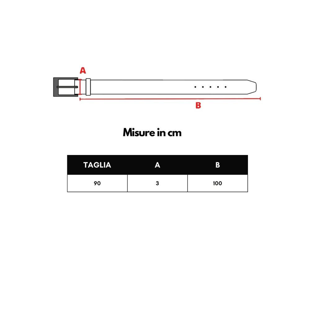 Dolce & Gabbana Brown Leather Regular Belt - Zeiniez