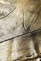 Dolce & Gabbana Gold Round Neck Long Sleeve Pullover Top - Zeiniez