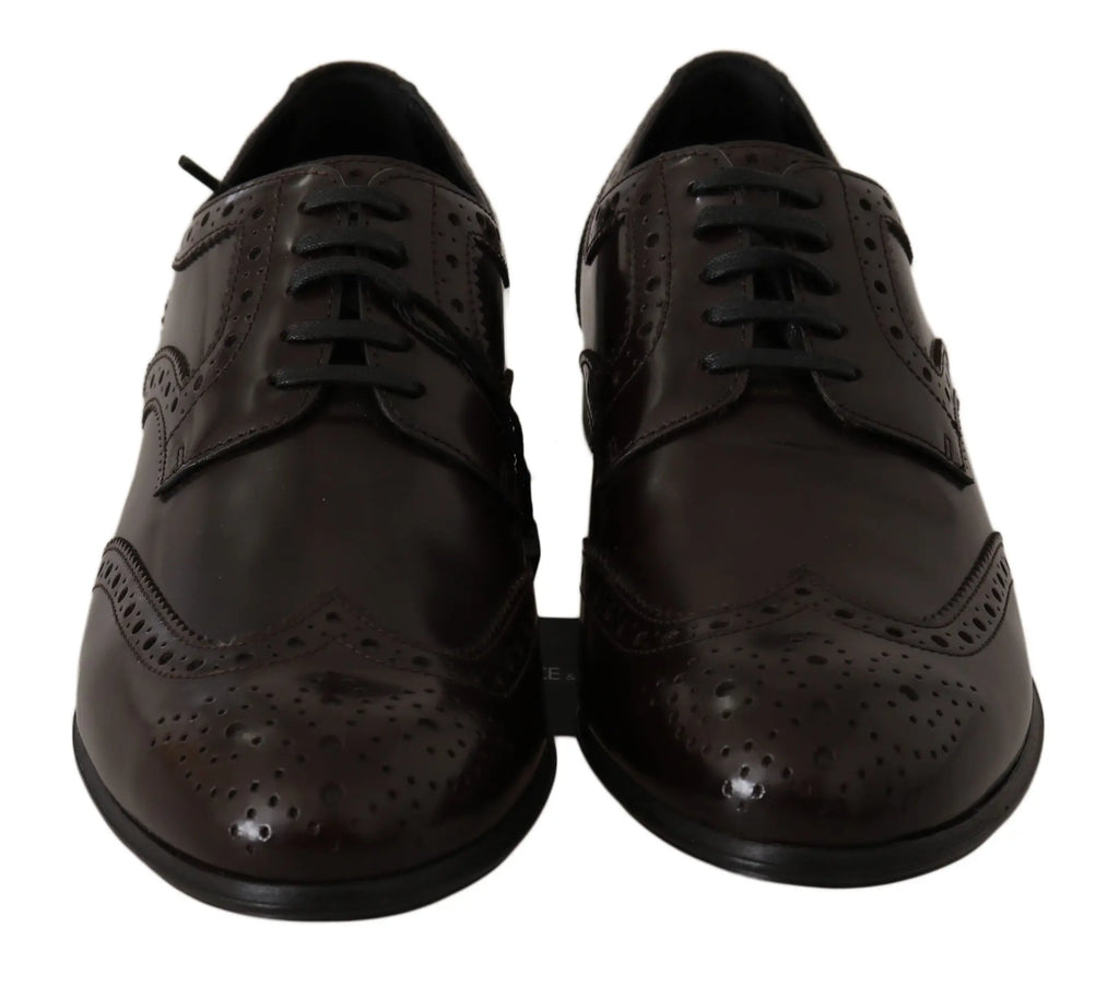 Dolce & Gabbana Brown Leather Broques Oxford Wingtip Shoes - Zeiniez