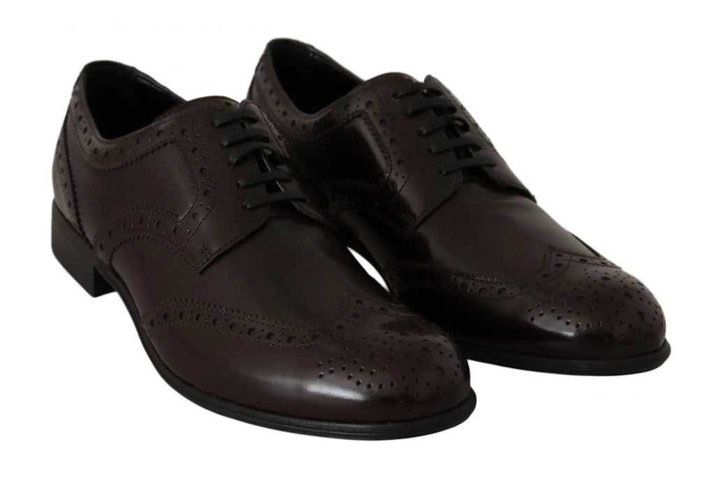 Dolce & Gabbana Brown Leather Broques Oxford Wingtip Shoes - Zeiniez