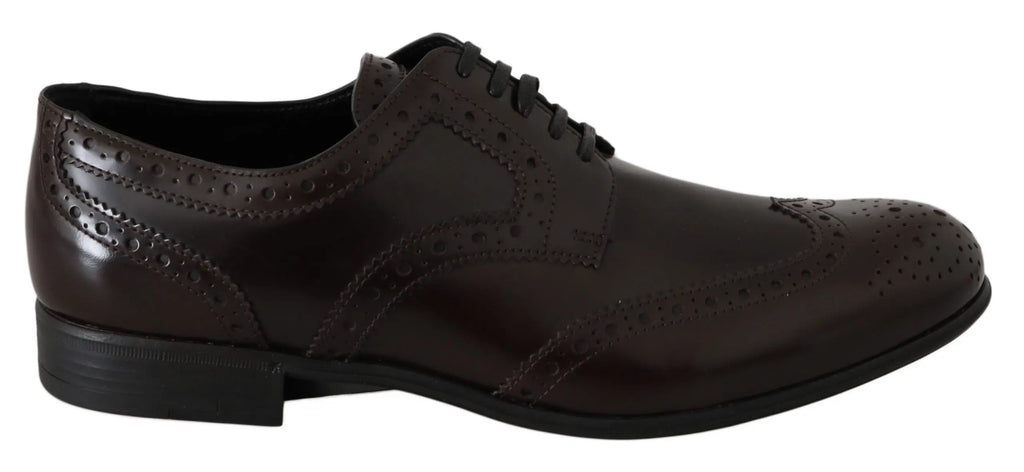 Dolce & Gabbana Brown Leather Broques Oxford Wingtip Shoes - Zeiniez