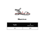8030425 - Zeiniez