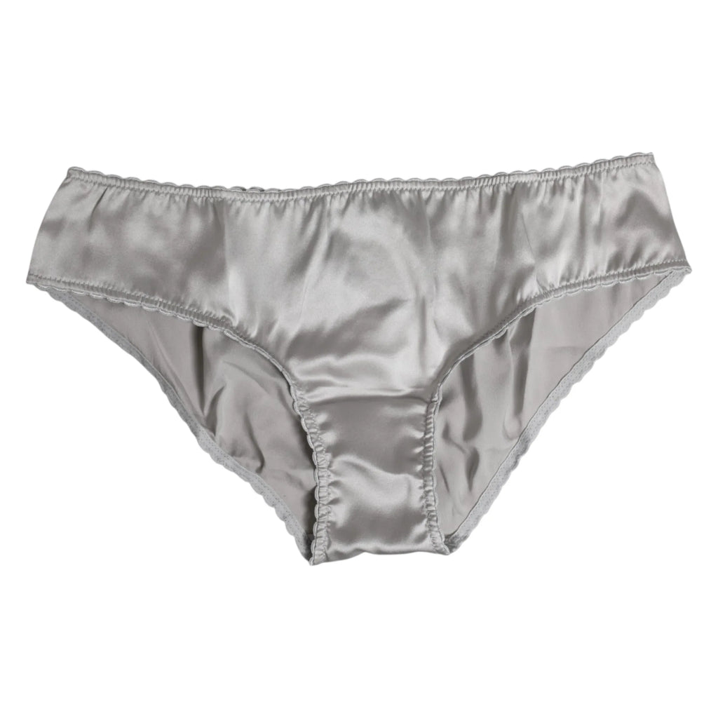 Dolce & Gabbana Gray Silk Stretch Bottom Low Waist Panty Underwear - Zeiniez